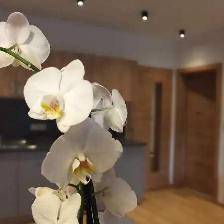 Apartment Haus Dahoam Alpbach Pokoj fotografie