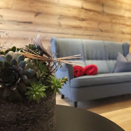 Apartment Haus Dahoam Alpbach Pokoj fotografie