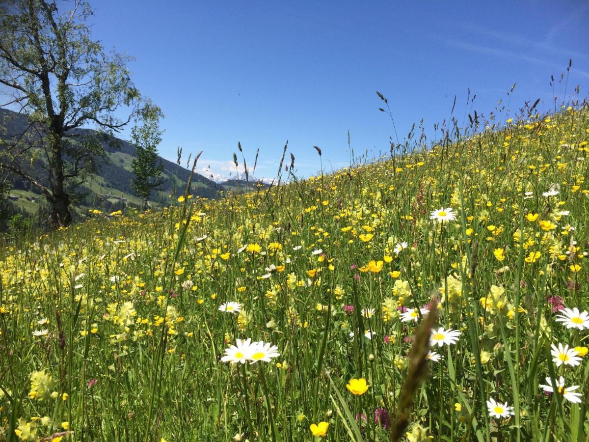 Apartmán Haus Dahoam Alpbach